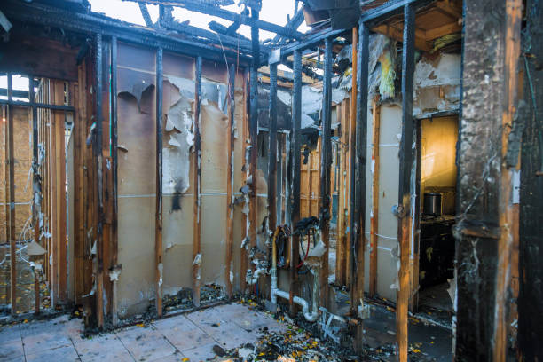 Professional Fire Damage Assessment technician working in Wathena, KS